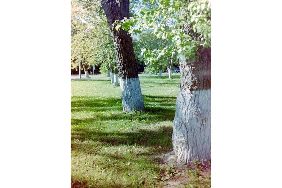 Porst Weitwinkel 3.5/35 auto F М42 Germany