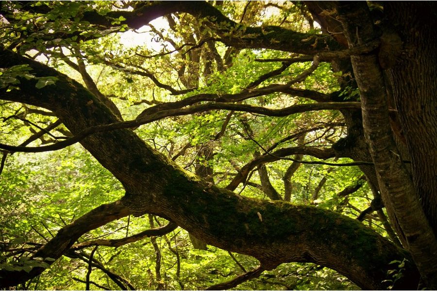 Pentax-DA SMC 18-135mm f/3.5-5.6 ED AL [IF] DC WR