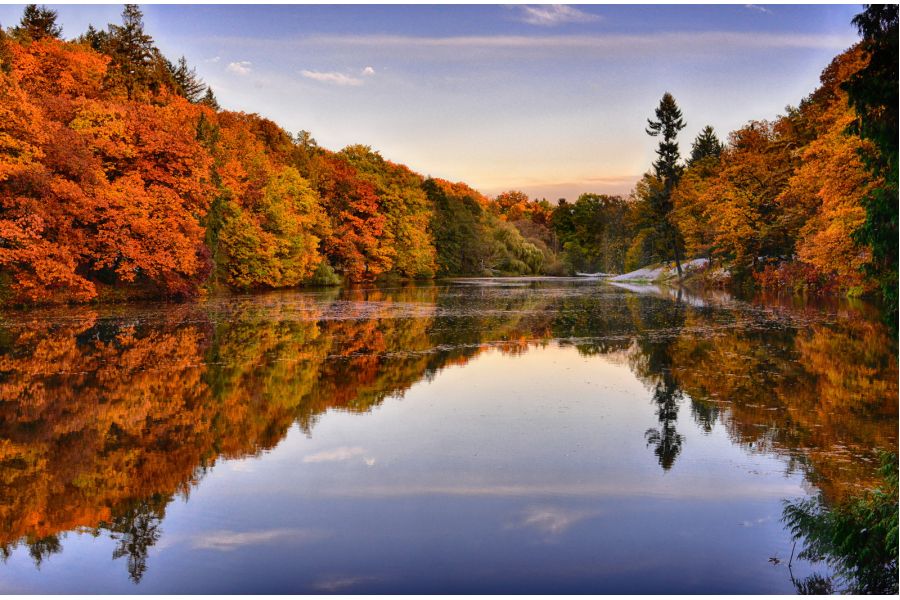 Nikon 45mm f/2.8D ED PC-E Micro Nikkor