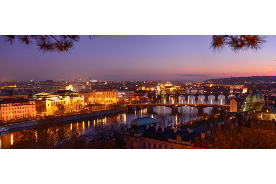 Nikon 45mm f/2.8D ED PC-E Micro Nikkor