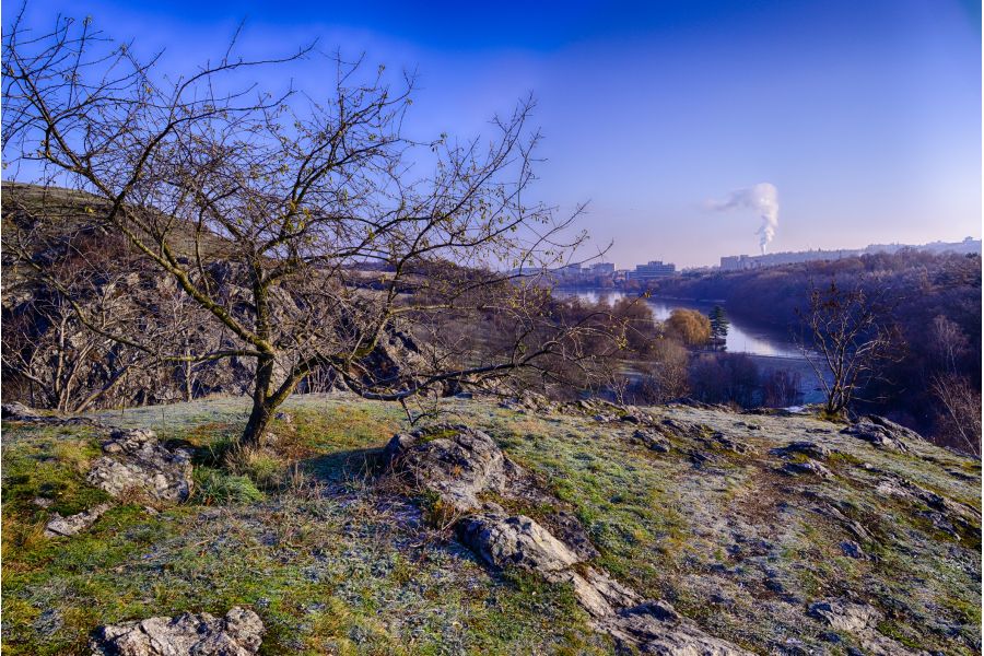 Nikon 45mm f/2.8D ED PC-E Micro Nikkor