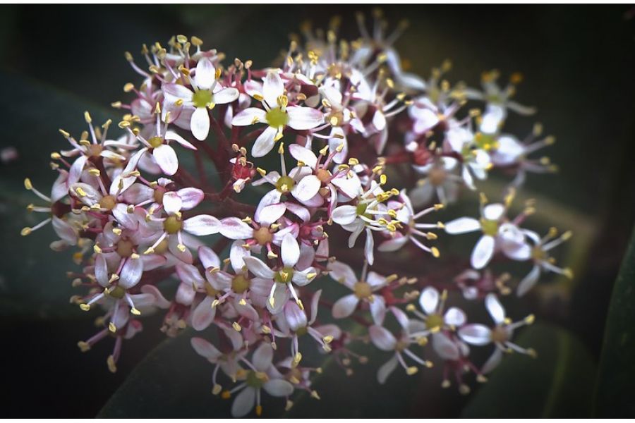 Объектив Canon EF-M 18-150mm f/3.5-6.3 IS STM