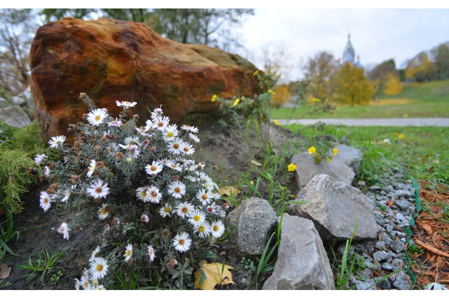 Tokina AT-X 35mm f/2.8 PRO DX MACRO AF Canon EF-S