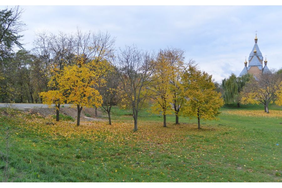 Tokina AT-X 35mm f/2.8 PRO DX MACRO AF Canon EF-S