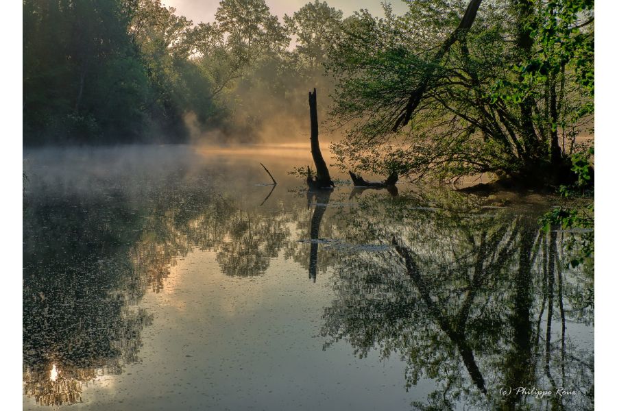 Fujifilm XC 16-50mm f/3.5-5.6 OIS 