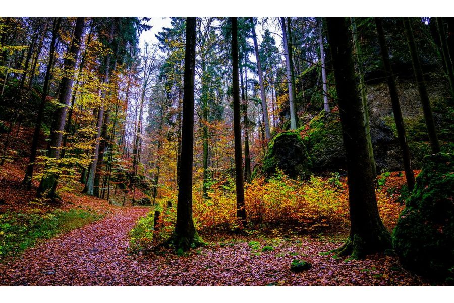 Fujifilm XC 16-50mm f/3.5-5.6 OIS 