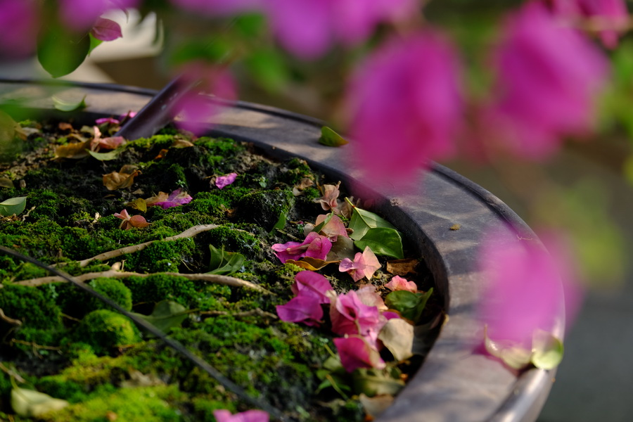 Fujifilm XC 16-50mm f/3.5-5.6 OIS 