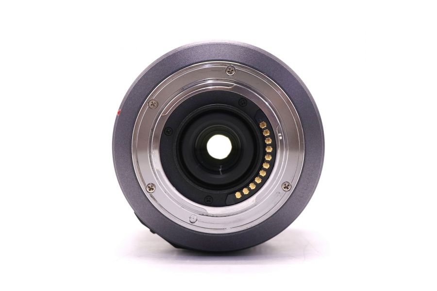 Panasonic Lumix G Vario 14-140mm f/4-5.8 Mega O.I.S. (Japan, 2013)