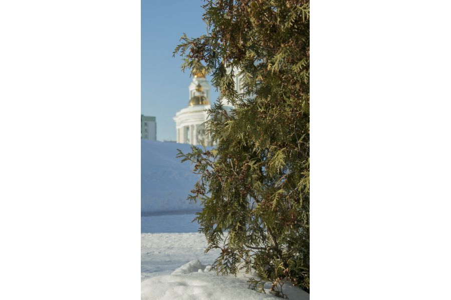 Canon EF-S 18-135mm 3.5-5.6 IS (отличный)