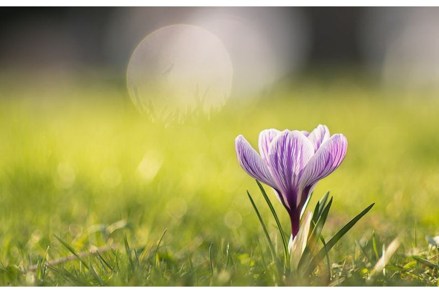 Юпитер-6 2,8/180 новый (КМЗ,1960)