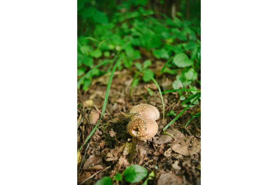 Lydith 3.5/30 Meyer-Optik Görlitz б/у