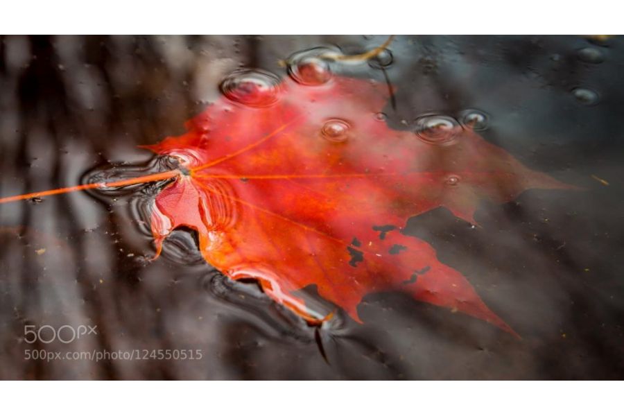 Объектив Olympus ED 14-42mm f/3.5-5.6 EZ Новый