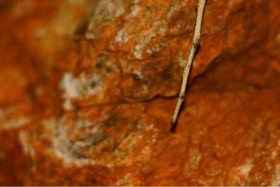 Minolta E. Rokkor 4.5/75 (Japan, 1979)