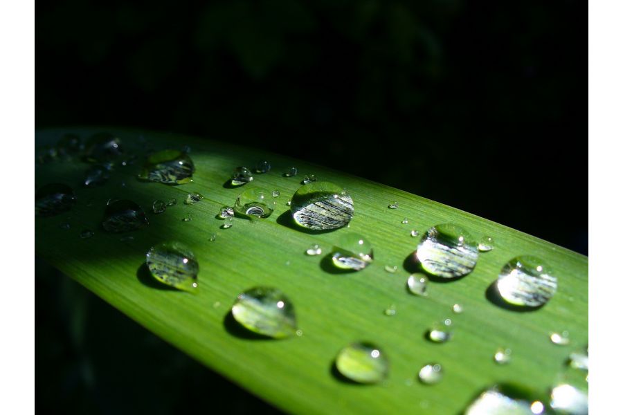 Panasonic Lumix DMC-LZ3 (Japan, 2005)