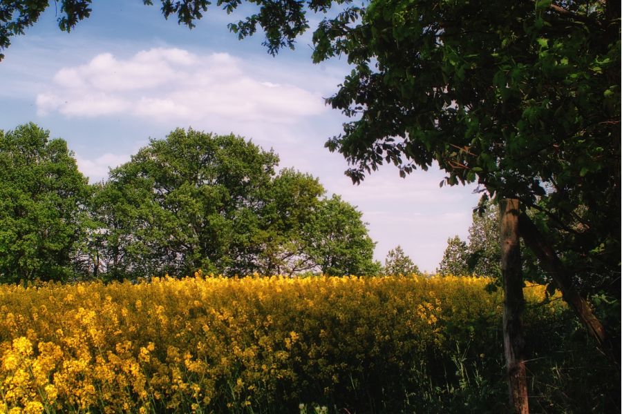 Weltblick MC Auto 3,5/135 (Japan, 1986)