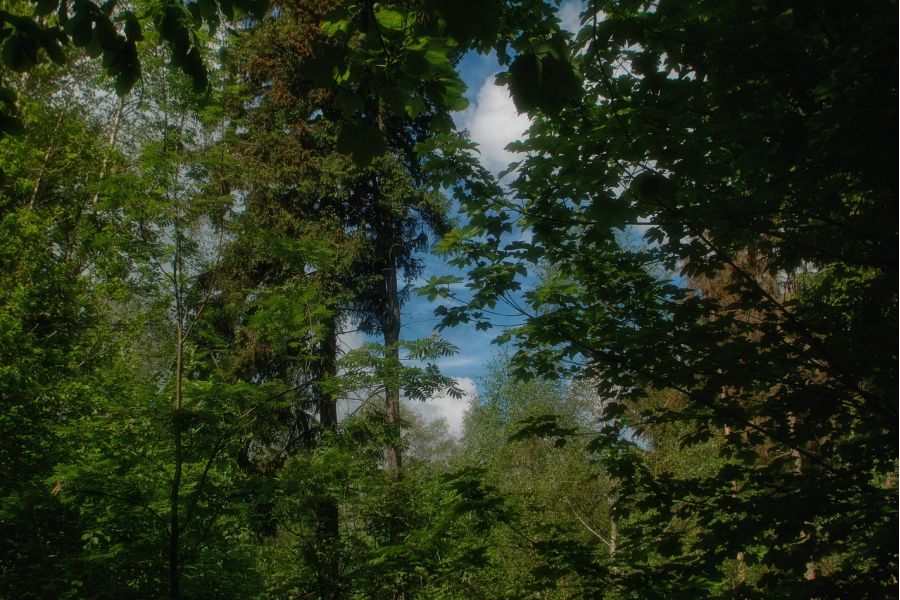 Weltblick MC Auto 3,5/135 (Japan, 1986)