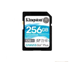 Карта памяти Kingston 256GB Canvas Go! Plus 170R (SDG3/256GB)