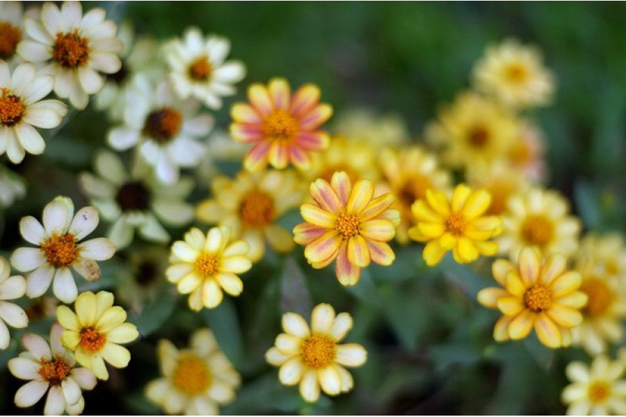 Мир-26Б 3,5/45 в упаковке (СССР, 1988)