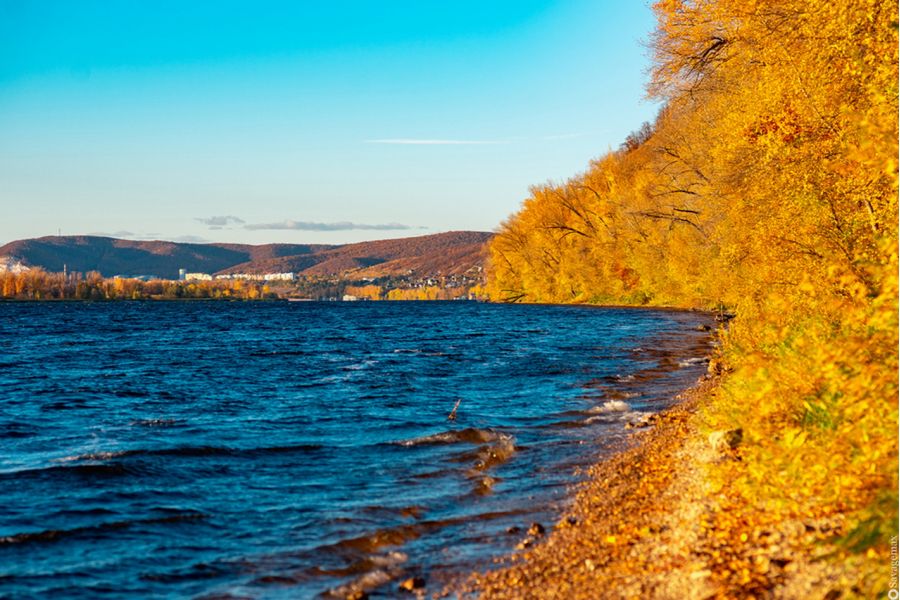 Makro-Planar 2/100 ZF T* Carl Zeiss for Nikon