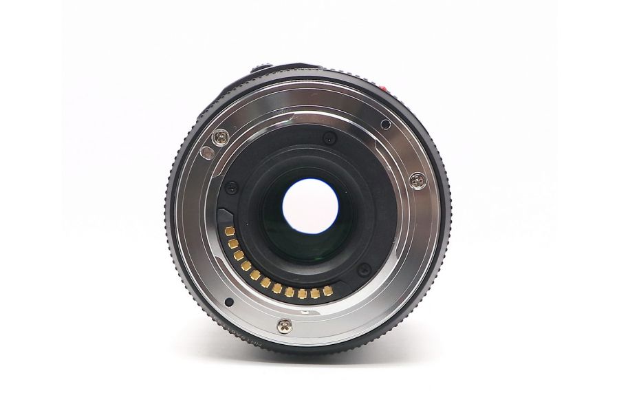 Panasonic Lumix G X Vario PZ 45-175mm f/4-5.6 ASPH Power O.I.S.