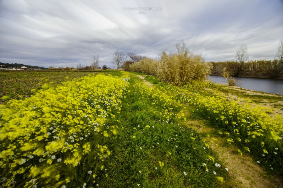 Tokina RMC 3,5/17mm (Japan, 1985)
