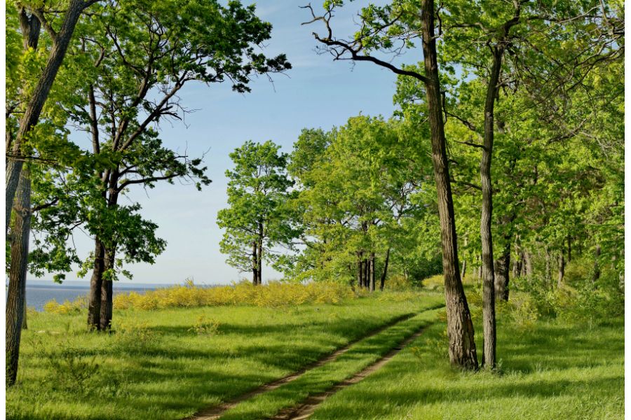 Pentax-FA SMC MACRO 2.8/50mm 