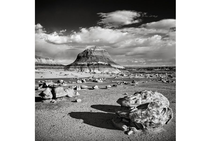 Nikon 24mm f/3.5D ED PC-E Nikkor