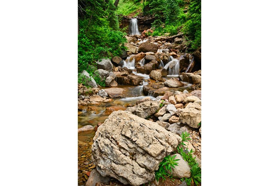 Nikon 24mm f/3.5D ED PC-E Nikkor