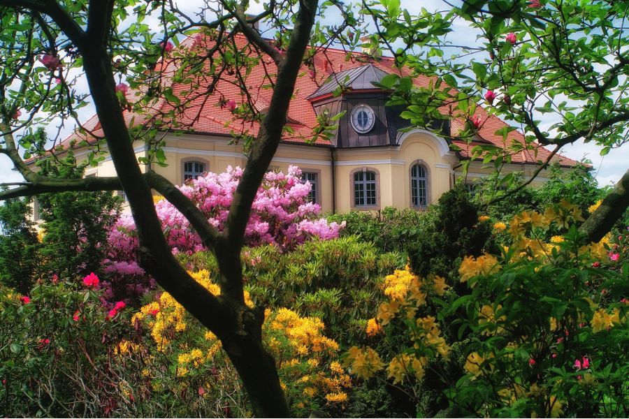 Weltblick 3,5/135 М42 (Japan, 1985)