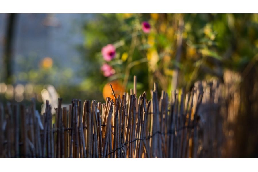 Юпитер-11А 4/135 (КОМЗ, 1972)