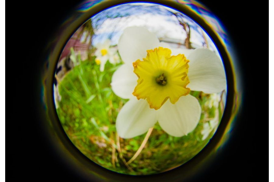 Lensbaby 5.8mm f/3.5 Circular Fisheye for Nikon F