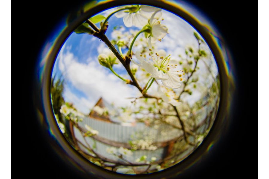 Lensbaby 5.8mm f/3.5 Circular Fisheye for Nikon F