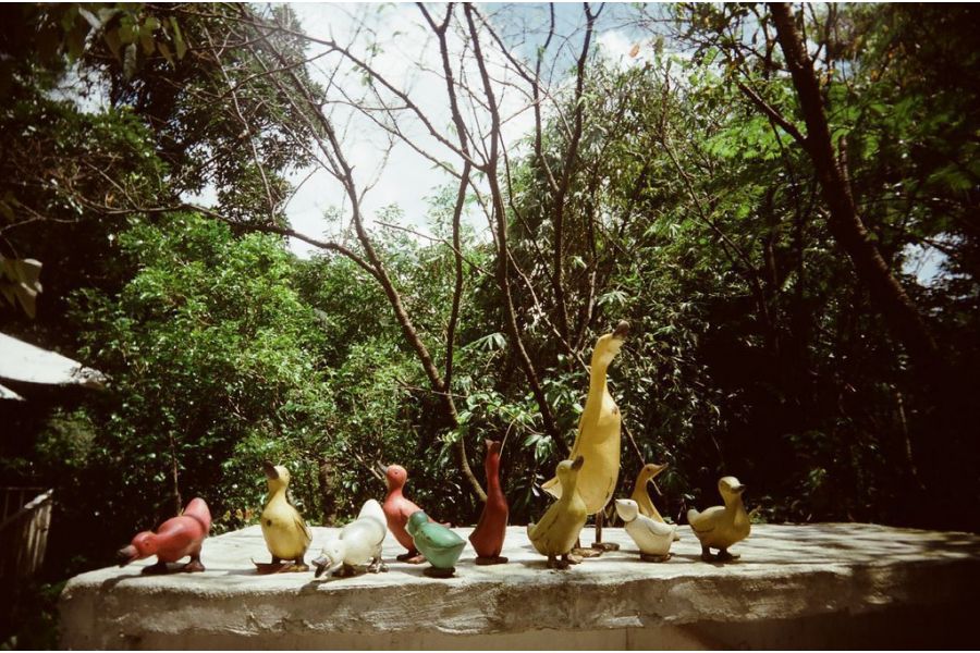 Yashica ML 135mm f/2.8