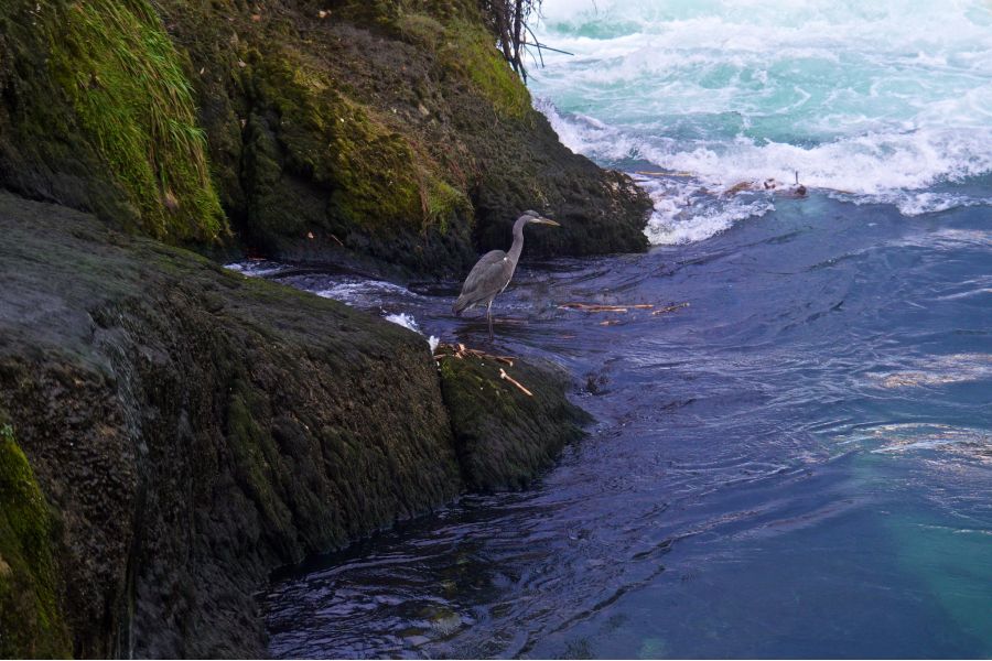 Soligor MC 28-80mm f/3.5-4.5 Pentax K