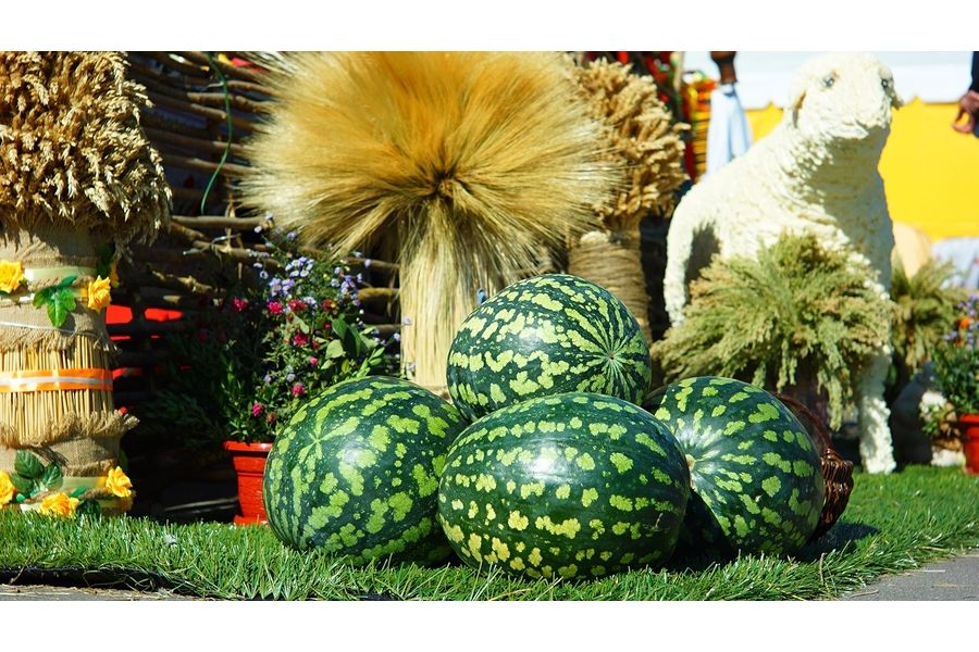 Редкий Юпитер-3 1.5/5см П silver М39 ранний