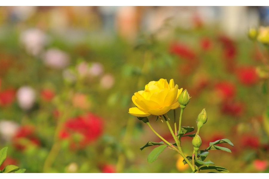 Prakticar MC 28-200mm f/4,0-5,6 новый