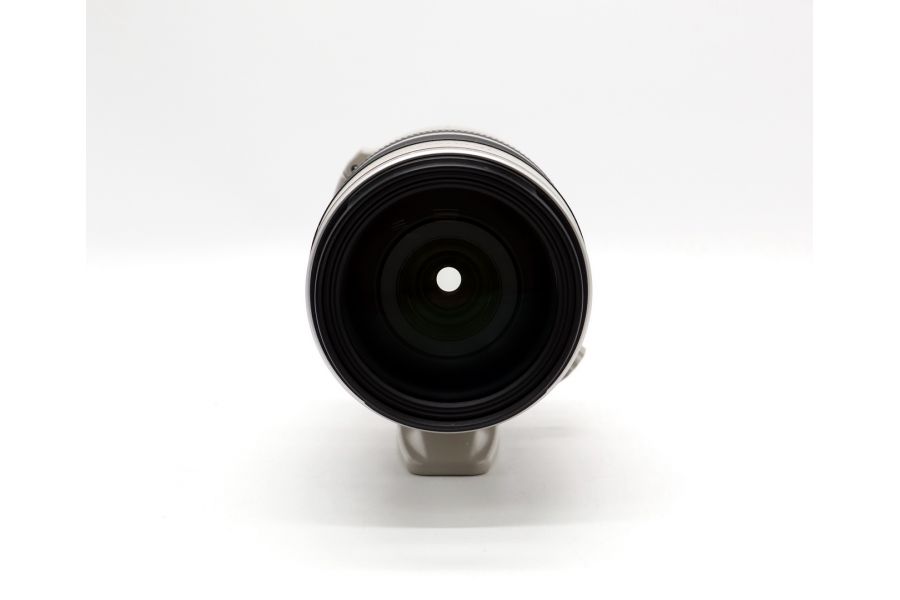 Canon EF 28-300mm f/3.5-5.6L IS USM