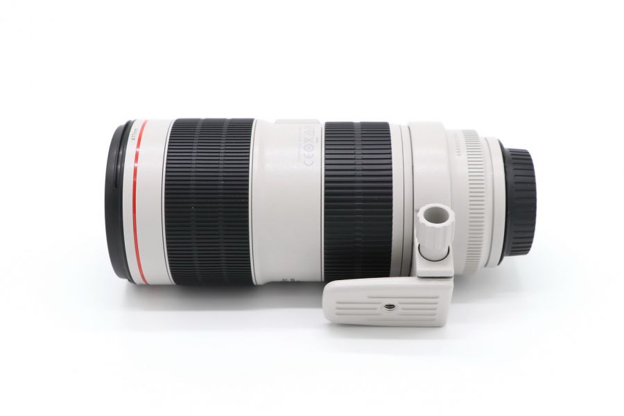 Canon EF 70-200mm f/2.8L IS III USM