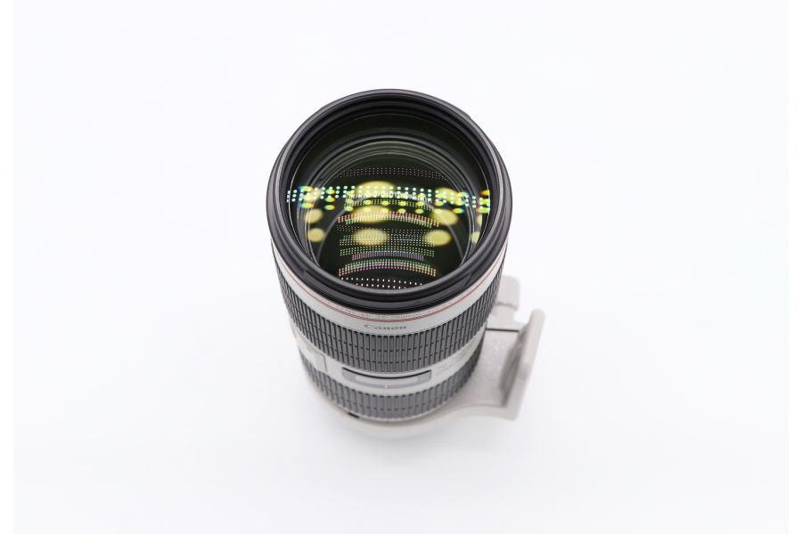 Canon EF 70-200mm f/2.8L IS III USM
