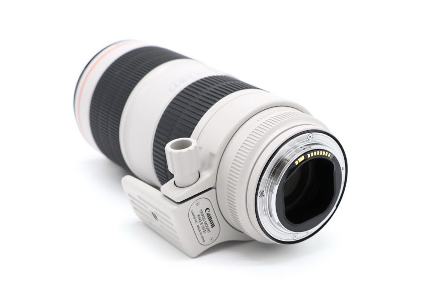 Canon EF 70-200mm f/2.8L IS III USM