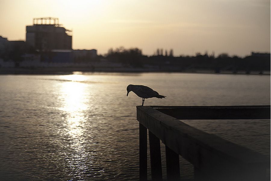 ОКП-2-85-1 85/1,8 (СССР, 1977)