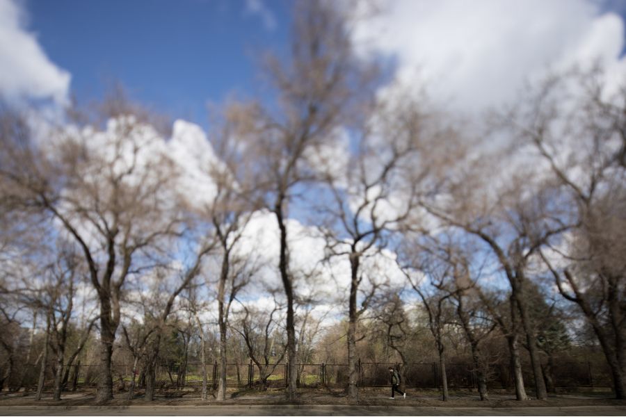 Canon TS-E 17mm f/4L 