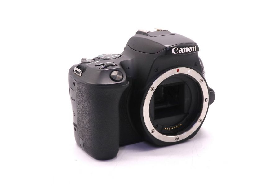 Canon EOS 200D body (пробег 57355 кадров)