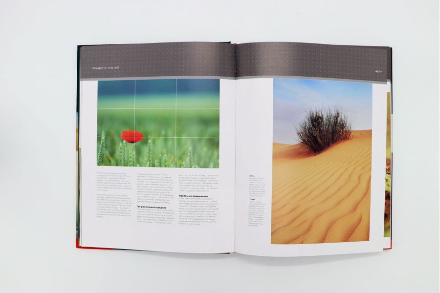 Композиция в цифровой фотосъёмке К. Раттер