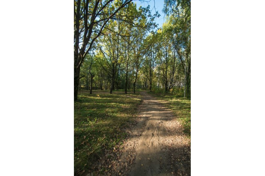 Samyang 10mm/2.8 ED NCS CS AS Nikon F