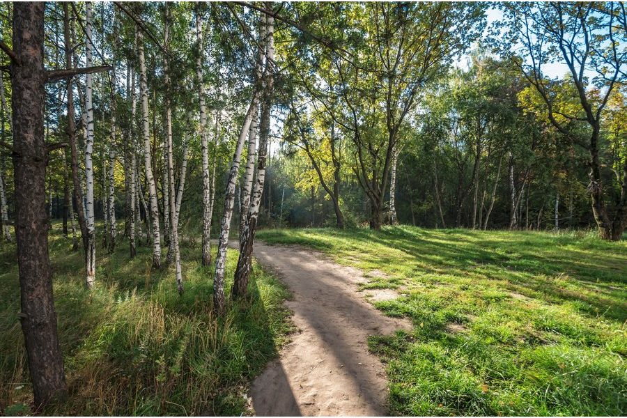 Samyang 10mm/2.8 ED NCS CS AS Nikon F