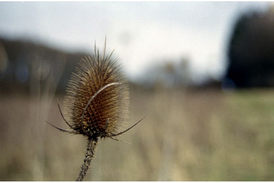 Tokina SD 28-70mm f/4-5.6