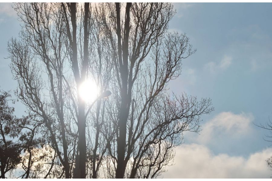 Sigma AF 18-200mm f/3.5-6.3 II DC OS HSM Canon EF-S