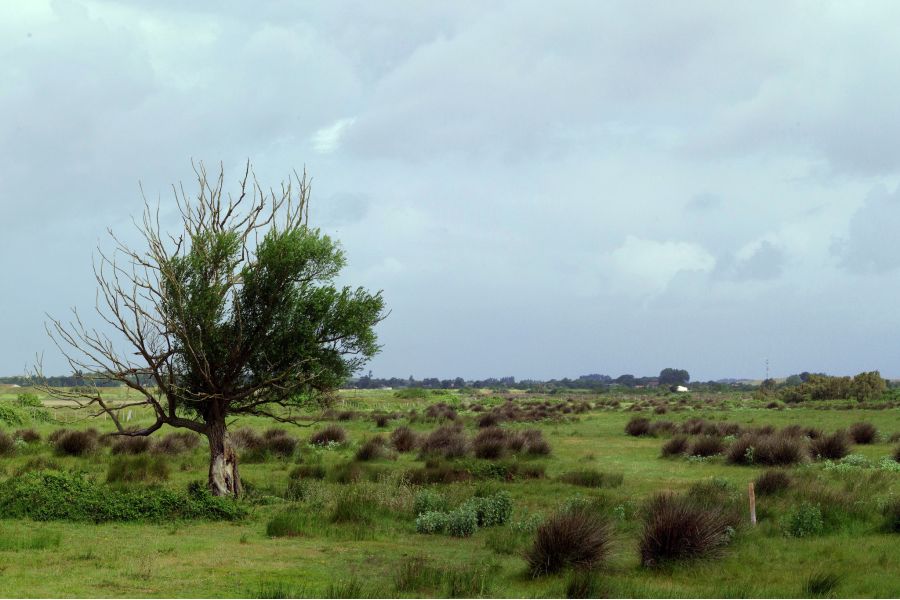 Componon-S 5.6/240 Schneider-Kreuznach, Germany