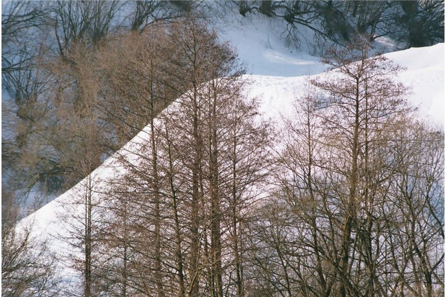 Canon FD 70-210mm f/4 для Sony Nex